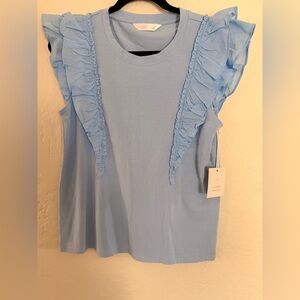 Light Blue Ruffle Sleeve Top